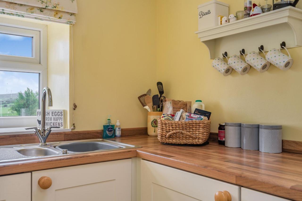 Villa Hafan Haydn Cwm  Esterno foto