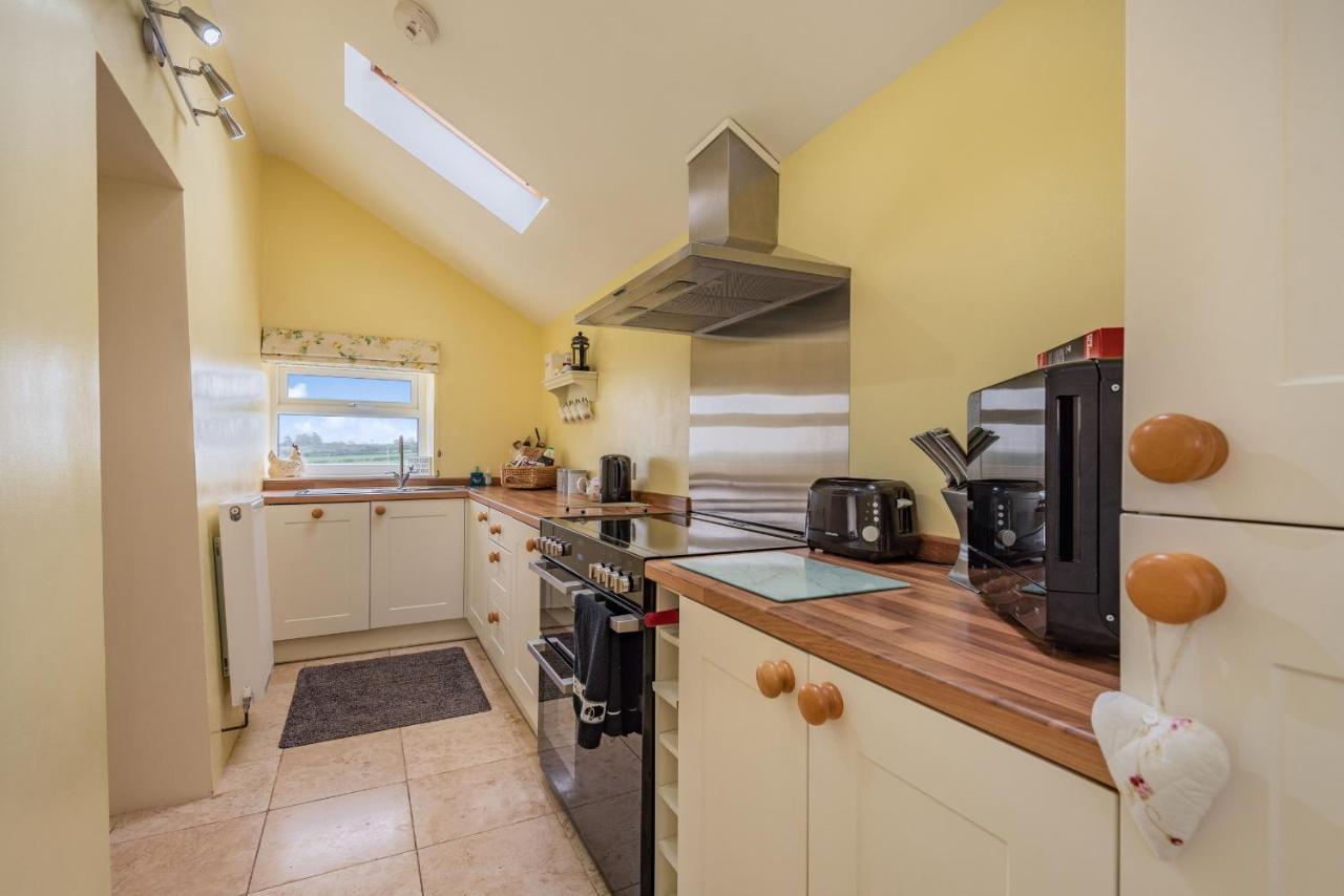 Villa Hafan Haydn Cwm  Esterno foto