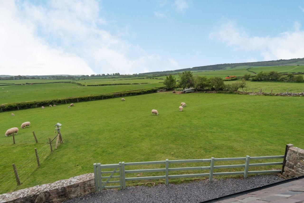 Villa Hafan Haydn Cwm  Esterno foto